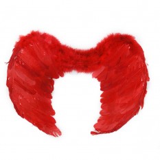 Карнавальные крылья